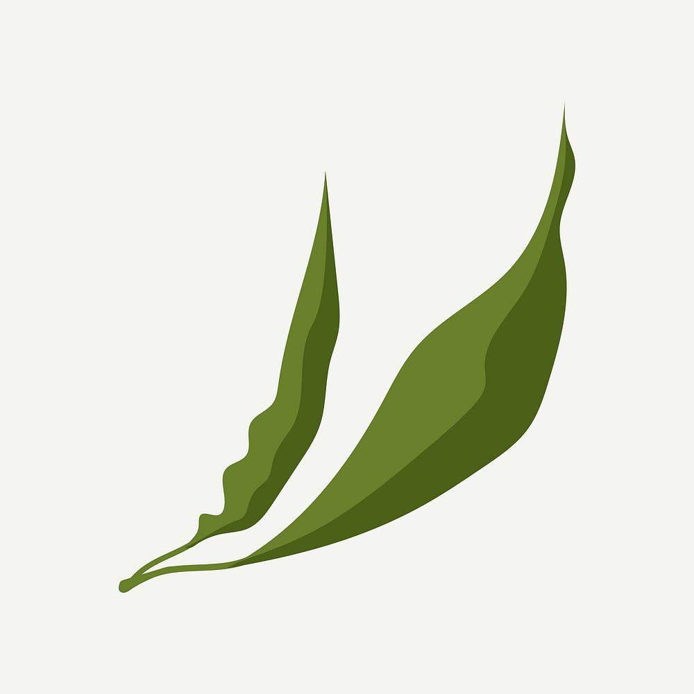 Realistic leaf sticker, green botanical illustration vector