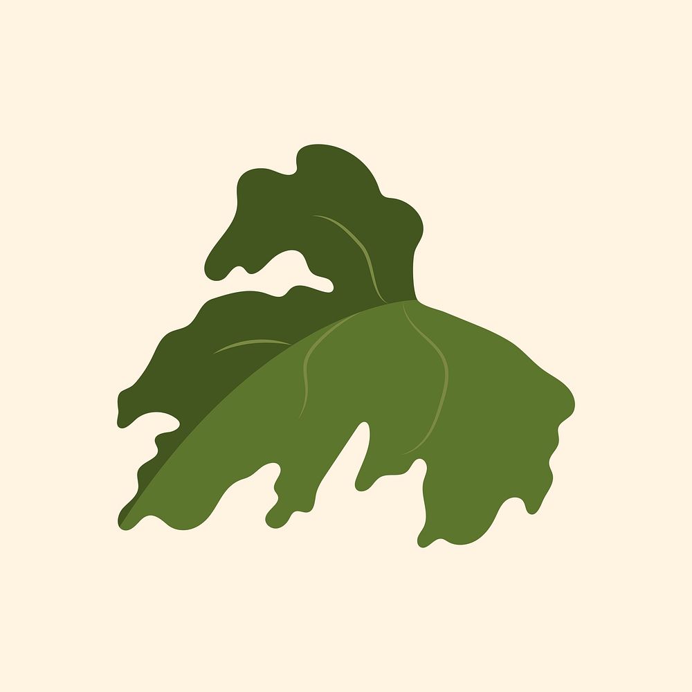 Realistic leaf clipart, green botanical illustration