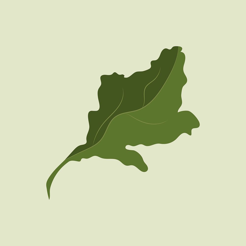 Leaf collage element, realistic botanical illustration vector