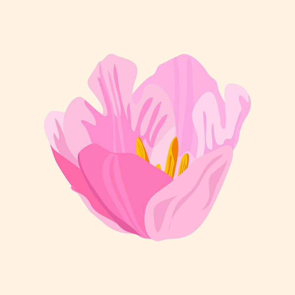 Blooming tulip sticker, pink flower illustration psd