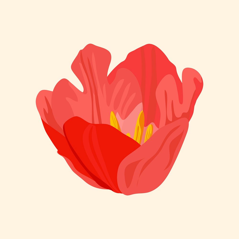 Blooming tulip sticker, red flower illustration psd