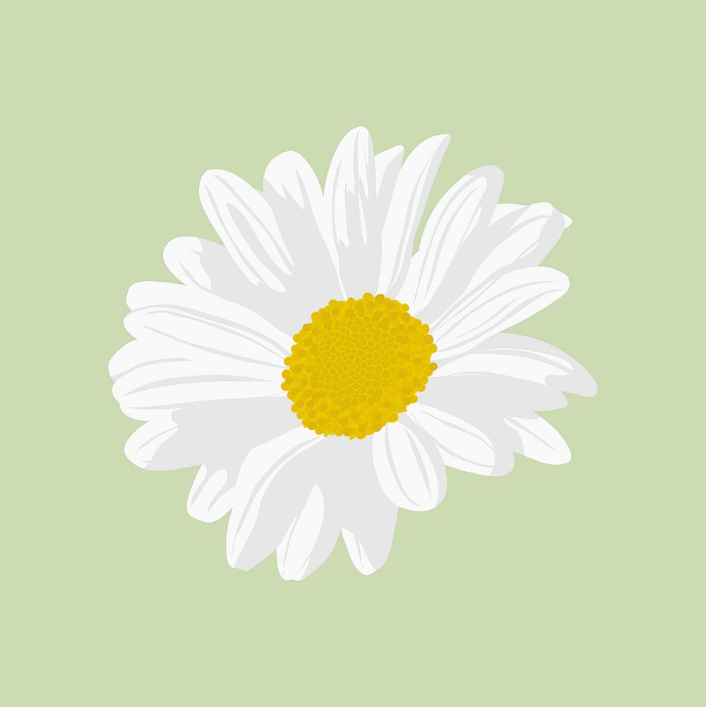 White daisy sticker, aesthetic flower illustration vector