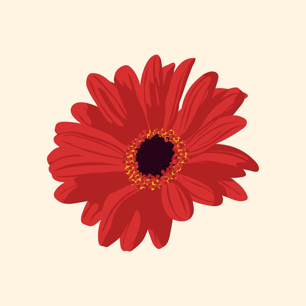 Red daisy sticker, aesthetic flower illustration vector
