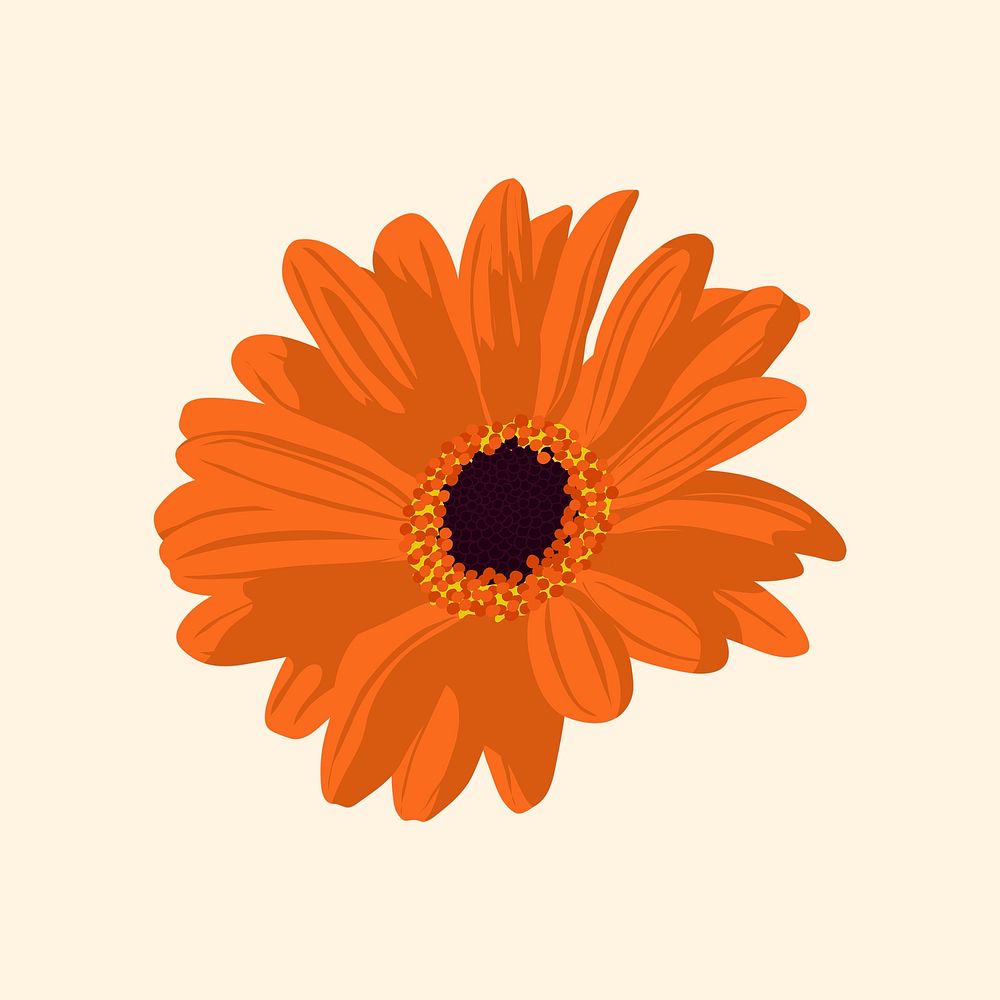 Orange daisy sticker, aesthetic flower illustration psd