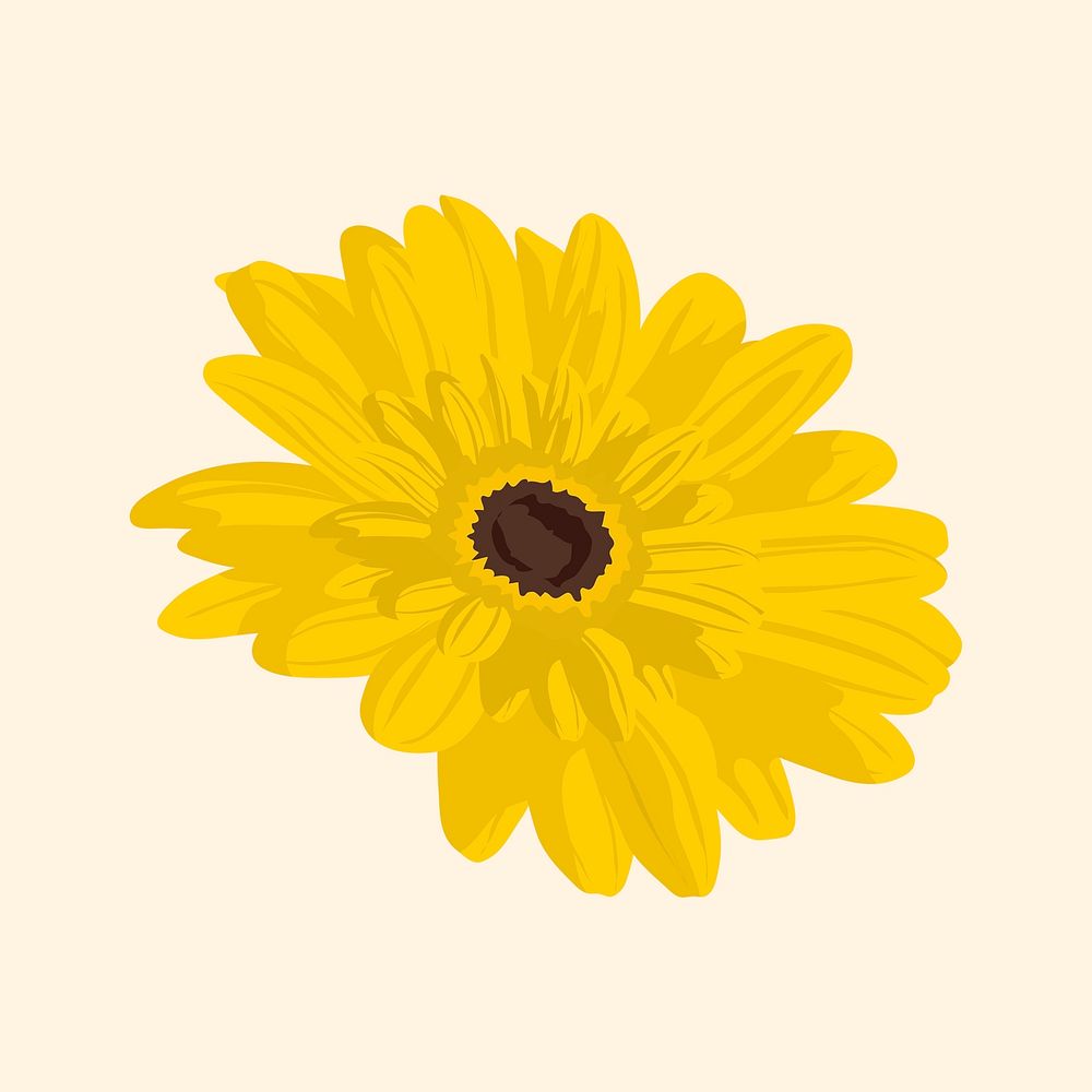 Yellow gerbera sticker, feminine flower illustration psd