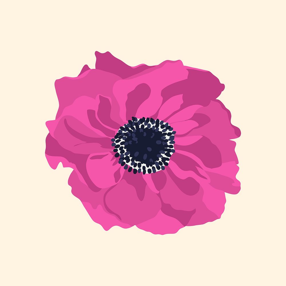 Pink feminine flower clipart, anemone illustration
