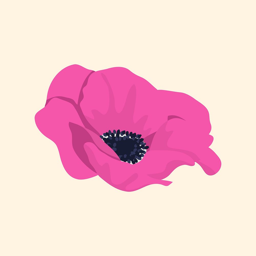 Pink feminine flower sticker, anemone illustration vector