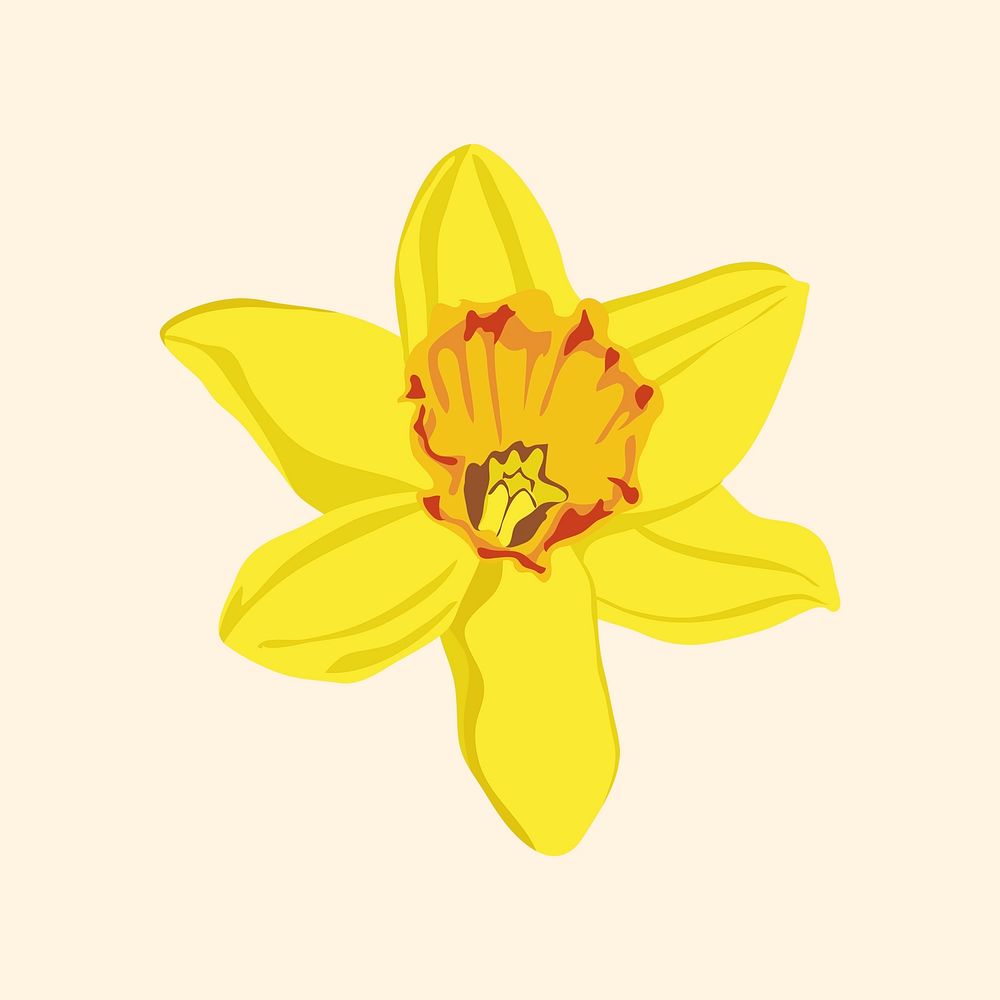 Realistic daffodil flower sticker, botanical | Vector Illustration ...