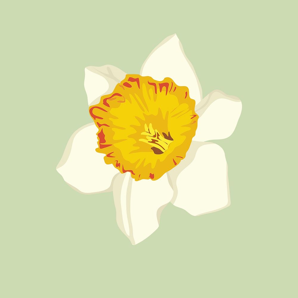 Aesthetic flower sticker, white daffodil vector