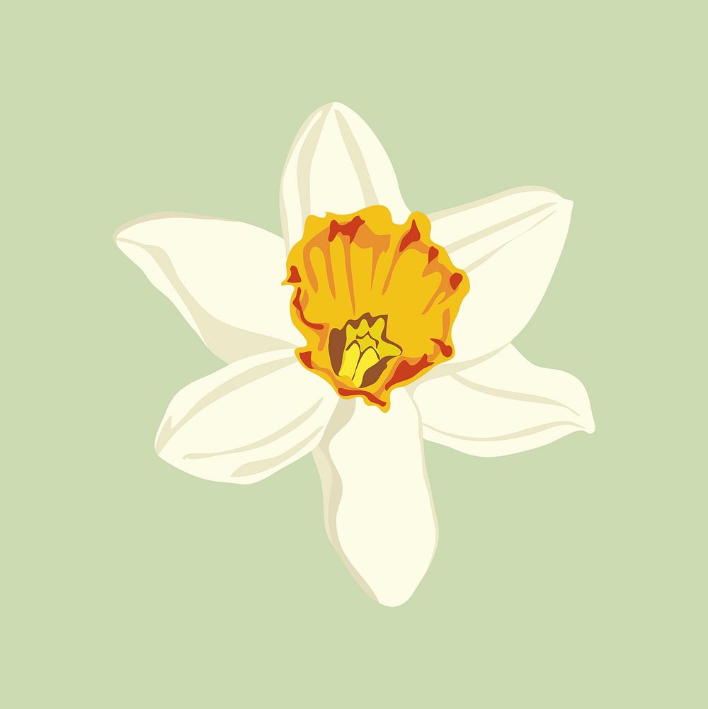 Aesthetic flower sticker, white daffodil vector