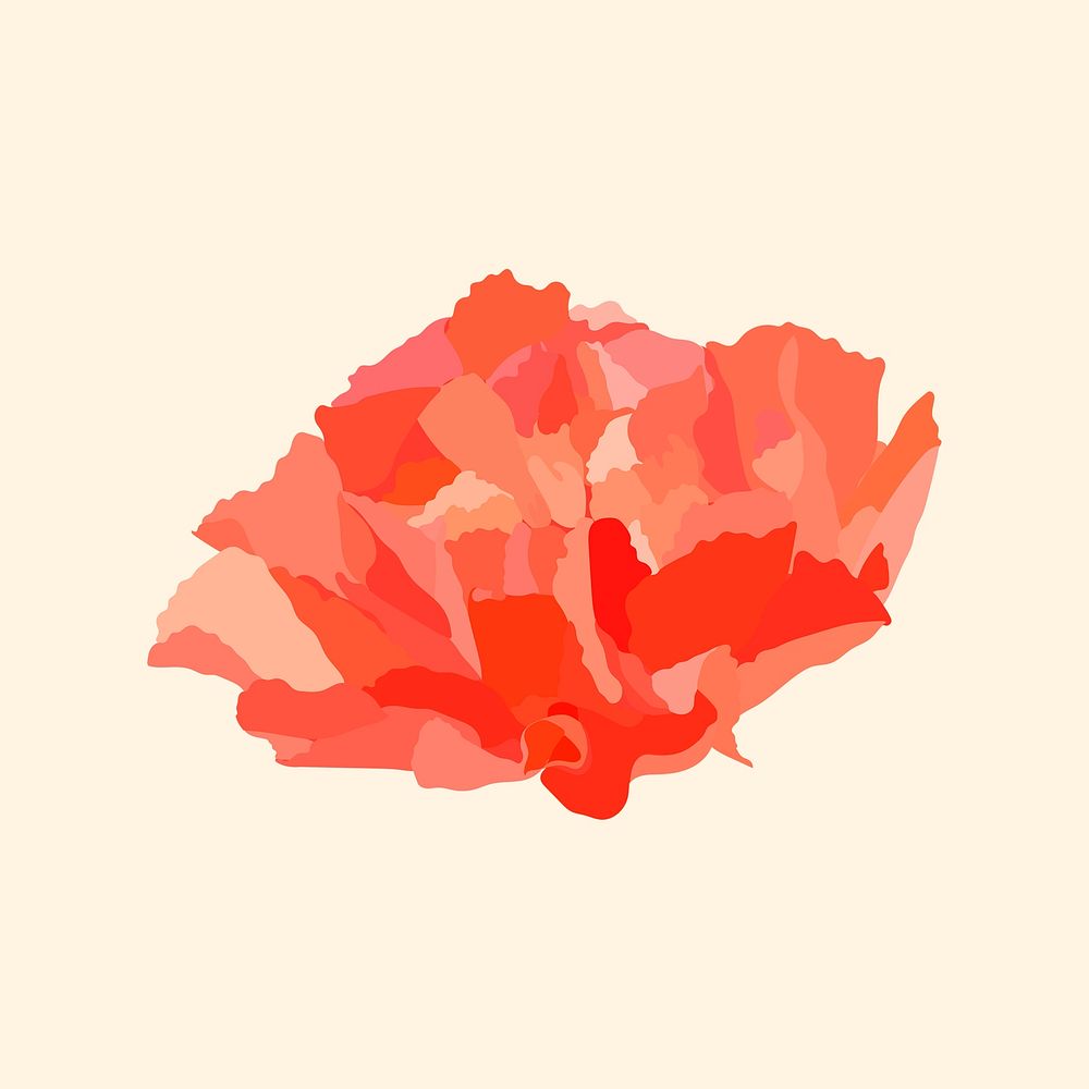 Aesthetic carnation flower clipart, red design