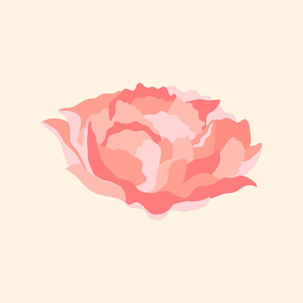 Aesthetic carnation flower clipart, pink design