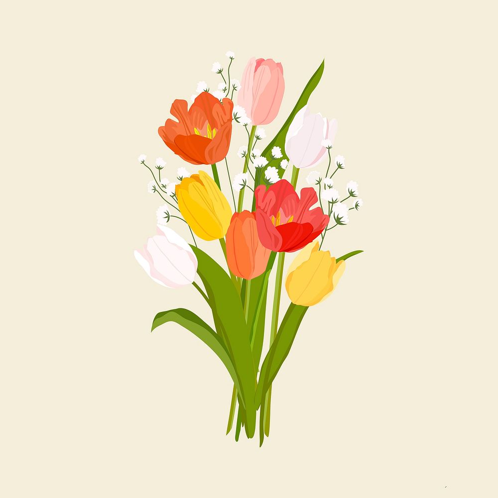 Tulip flower bouquet clipart, Valentine's gift vector