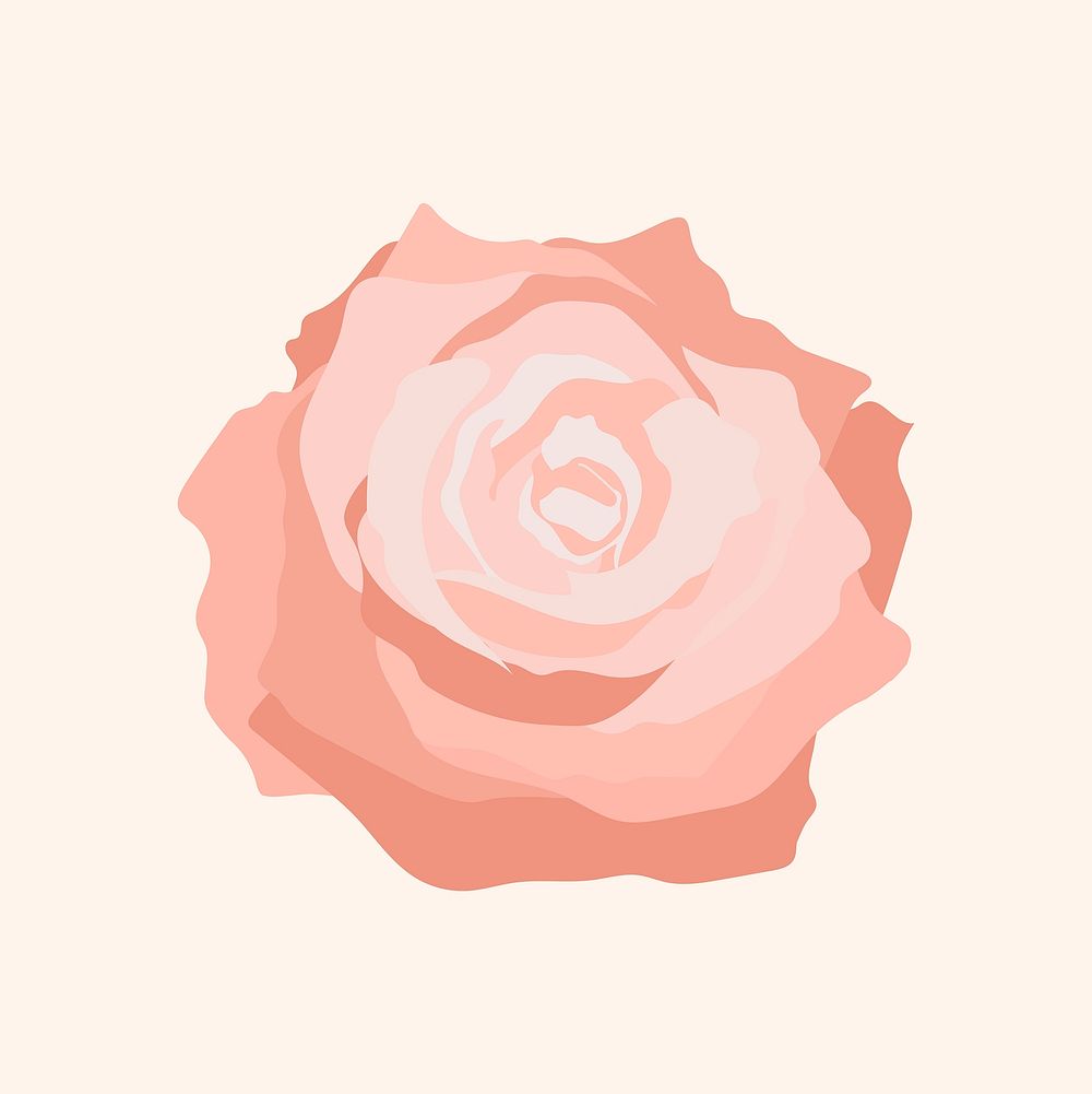 Pink pastel rose clipart, flower illustration