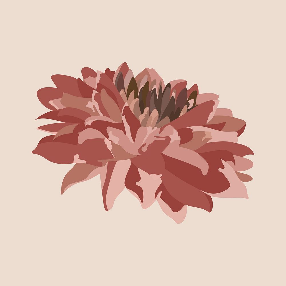 Chrysanthemum flower sticker, pink earth tone illustration psd