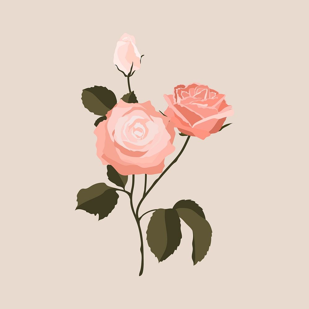 Pink pastel rose sticker, flower illustration vector