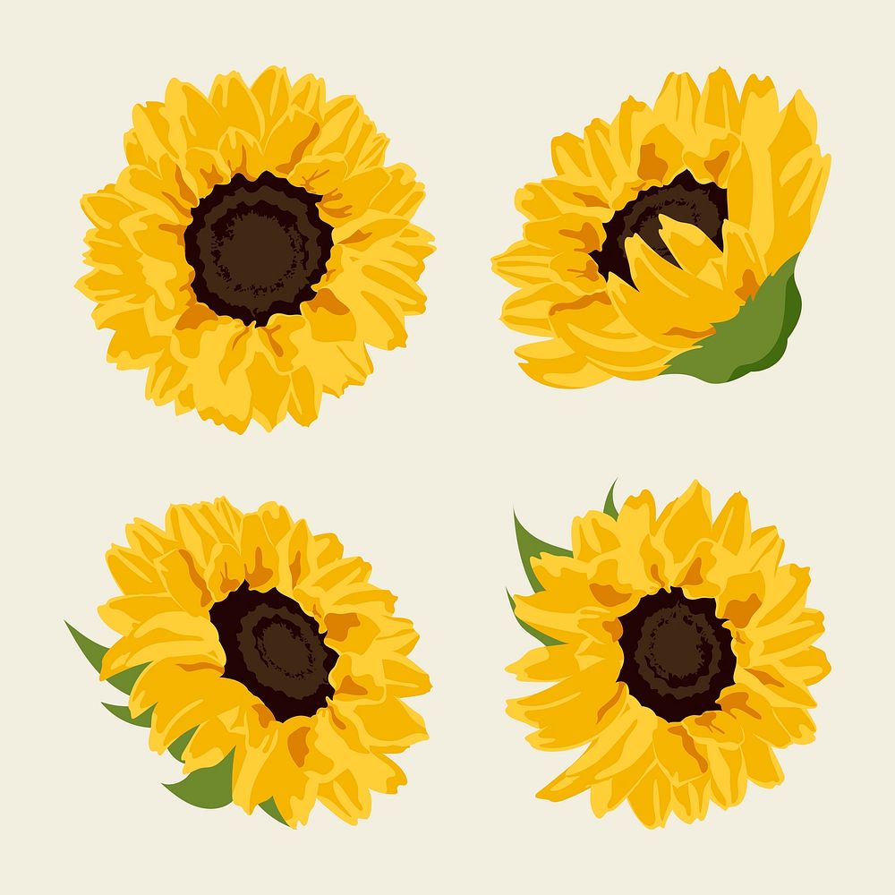 Aesthetic sunflower sticker, yellow flowers set psd