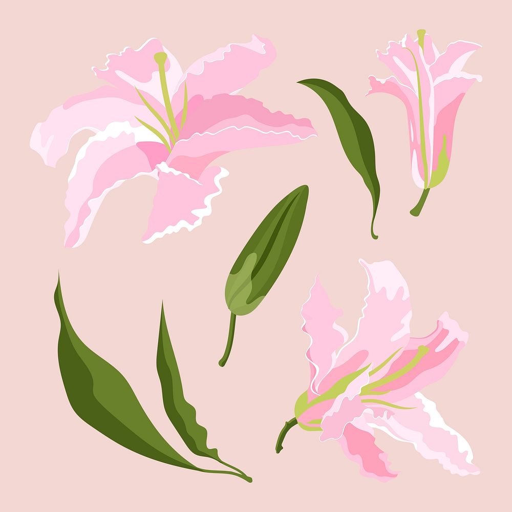 Pink lily flower sticker, aesthetic illustration set vector