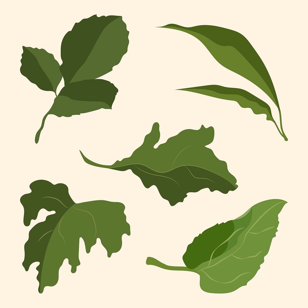 Aesthetic leaf sticker, green botanical illustration set vector