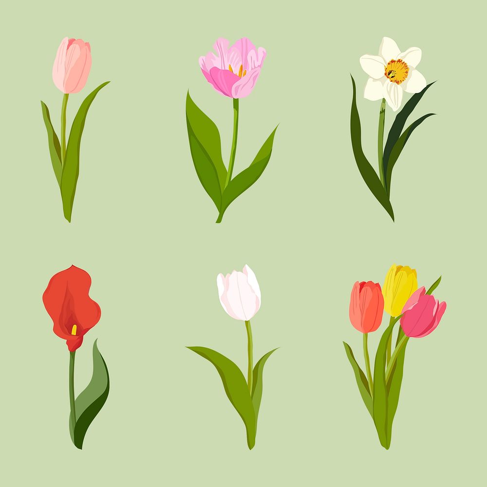 Aesthetic flower stickers, realistic illustration set vector
