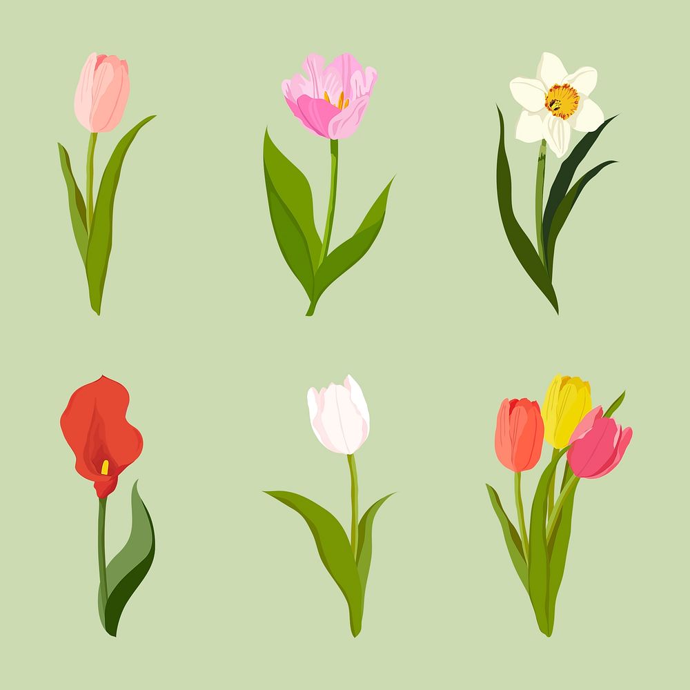 Aesthetic flower stickers, realistic illustration | PSD - rawpixel