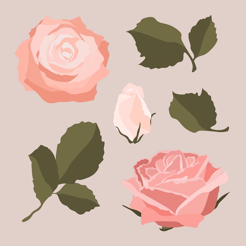 Pink pastel rose sticker, flower illustration set vector