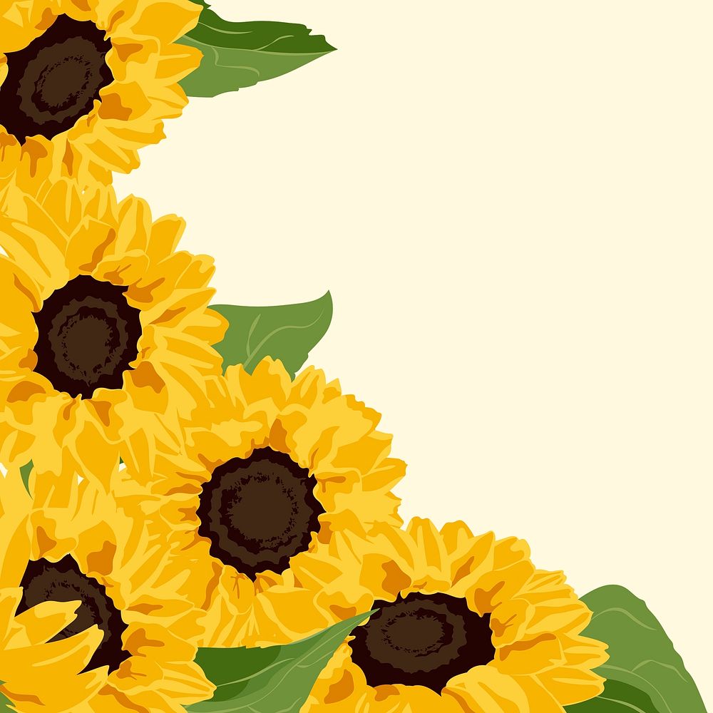 Yellow spring background, sunflower border