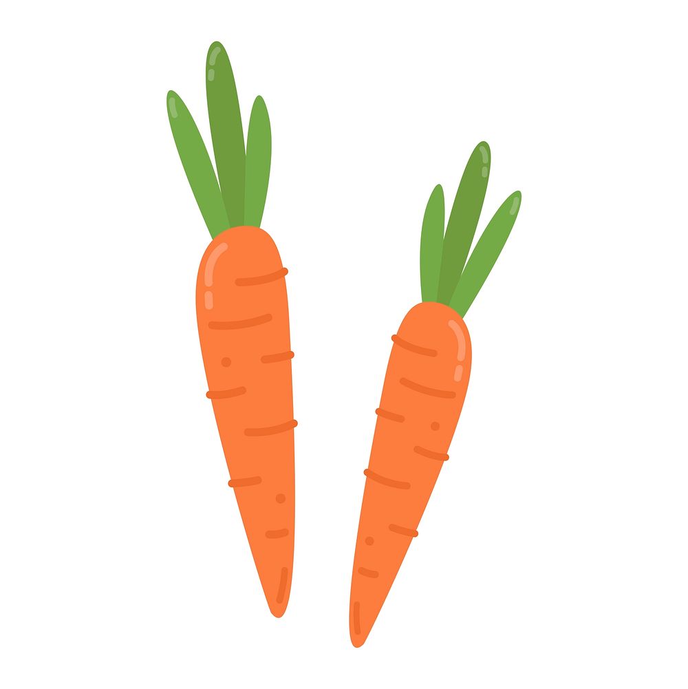 Healthy orange carrots graphic illustration
