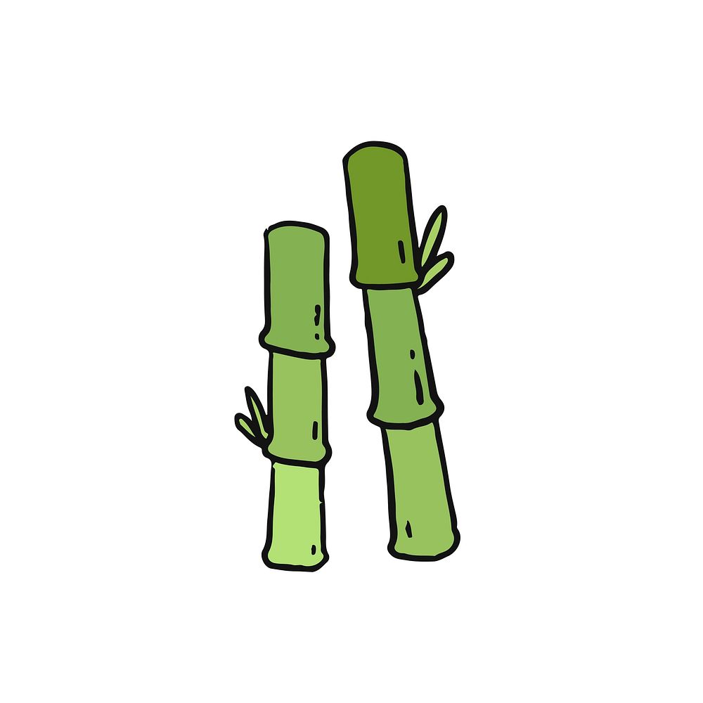 Hand drawn green bamboo illustration