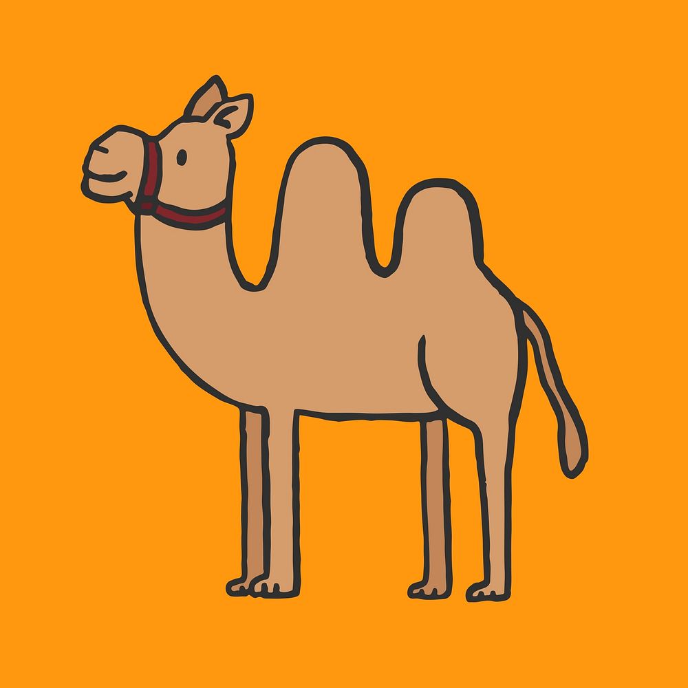 Hand drawn camel illustration