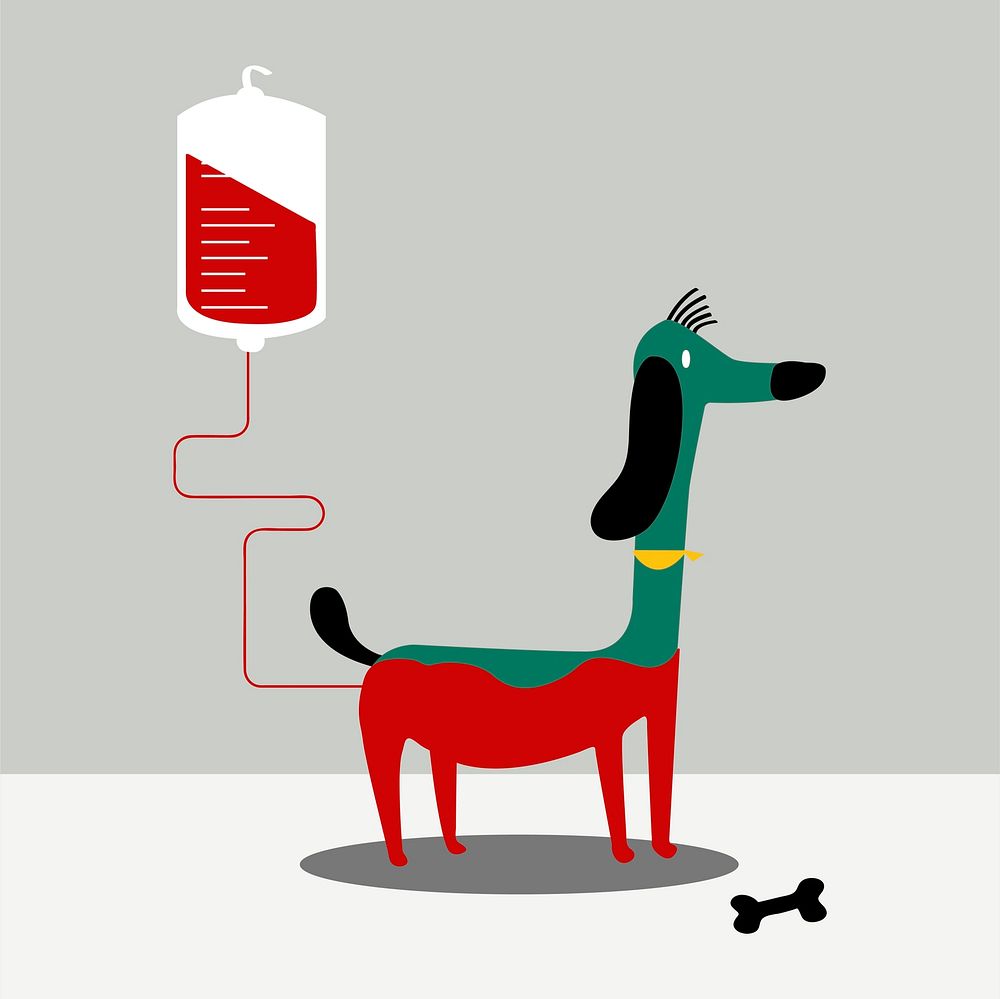Animal blood donation vector illustration