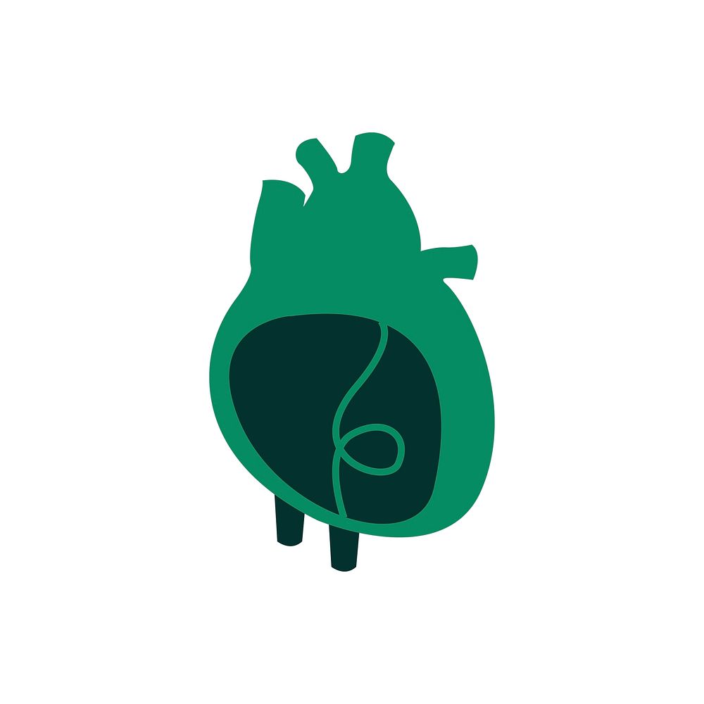 Green heart isolated in white illustration