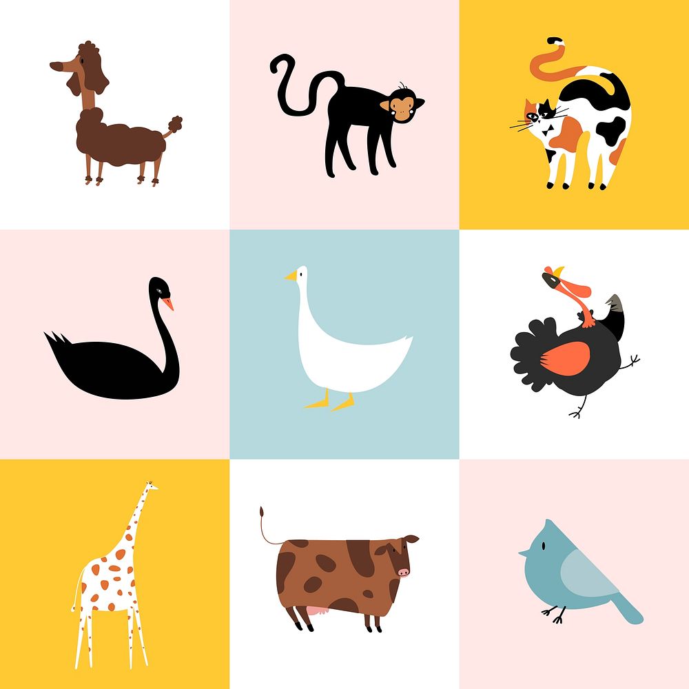 Collage of different kinds of animals