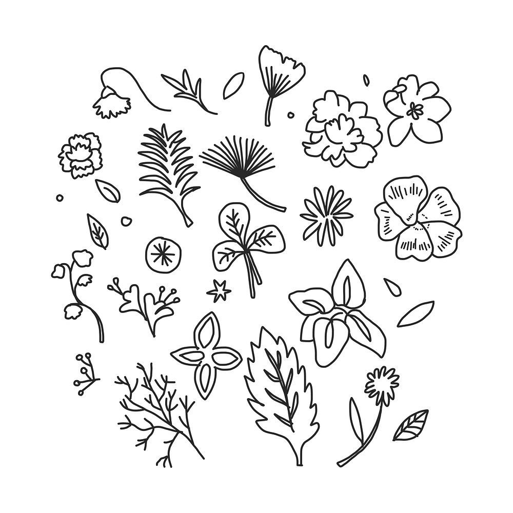 Black and white floral leaf illustration