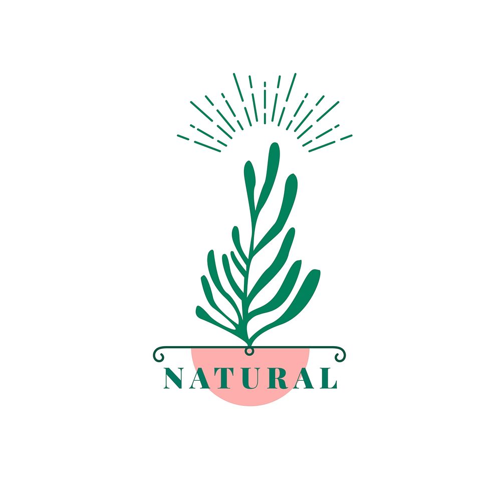 Natural and organic product icon