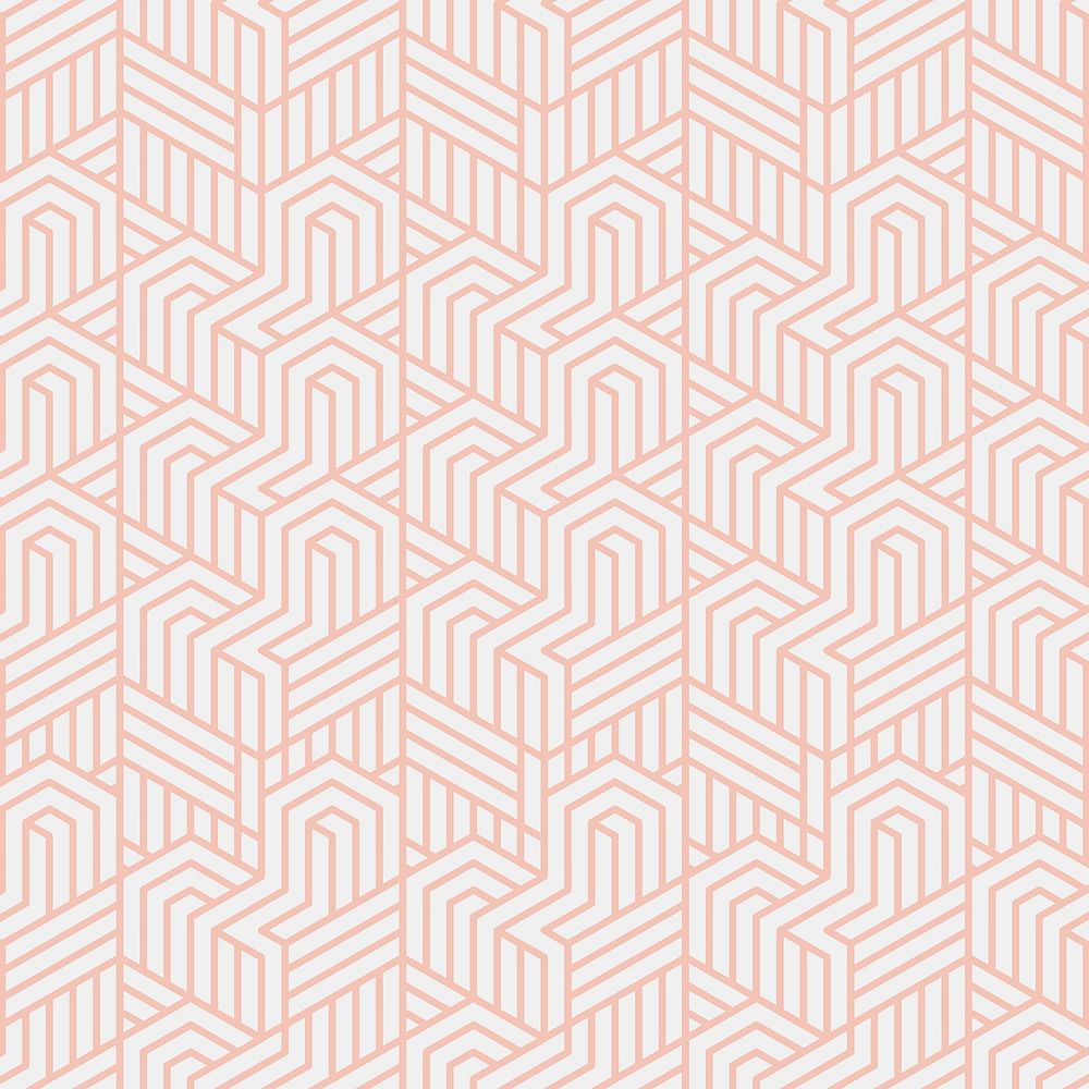 Interlacement stylish pattern vector illustration