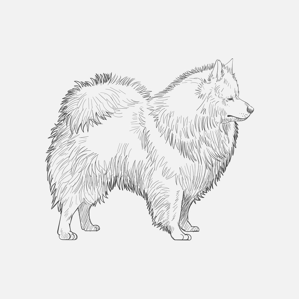 Illustration drawing style of dog