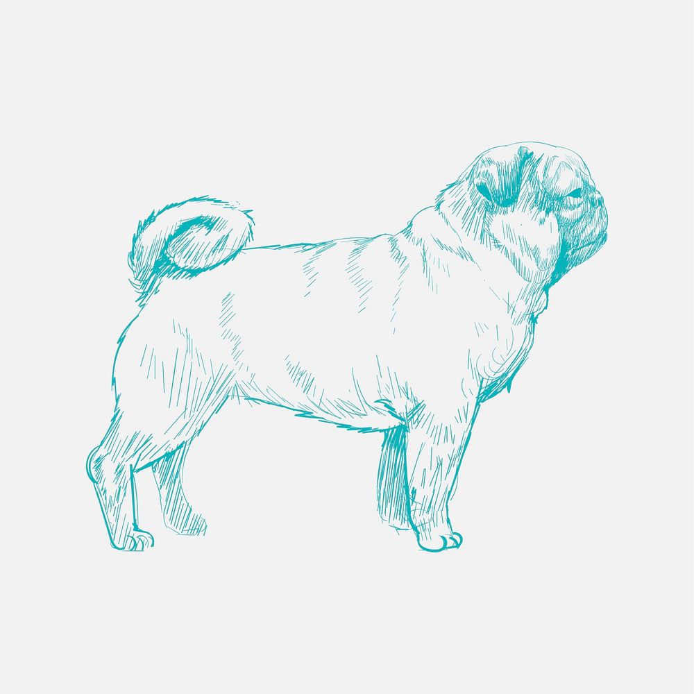 Illustration drawing style of dog