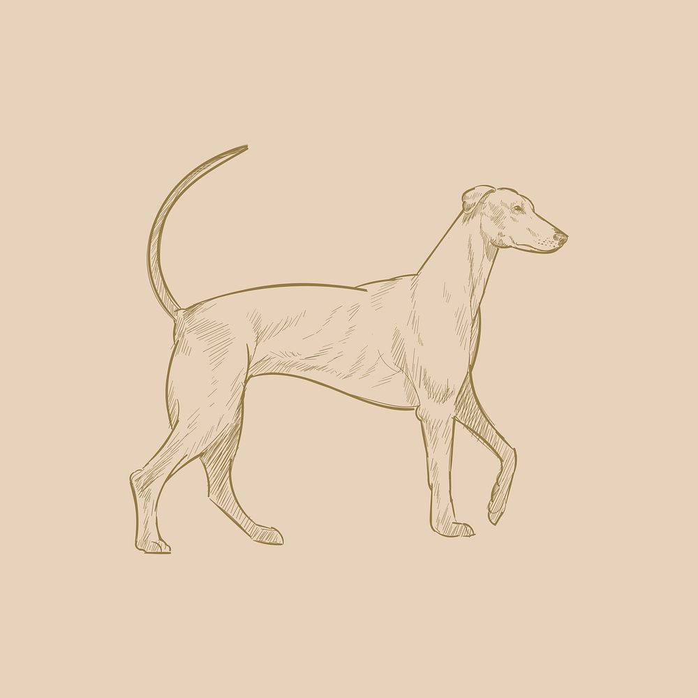 Illustration drawing style of dog