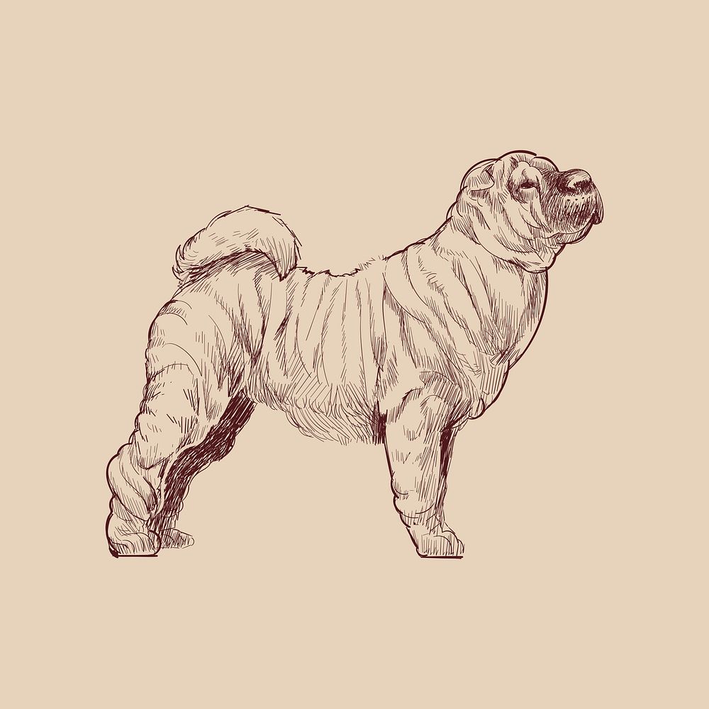 Illustration drawing style of dog