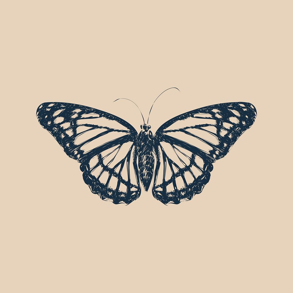 Illustration drawing style of butterfly