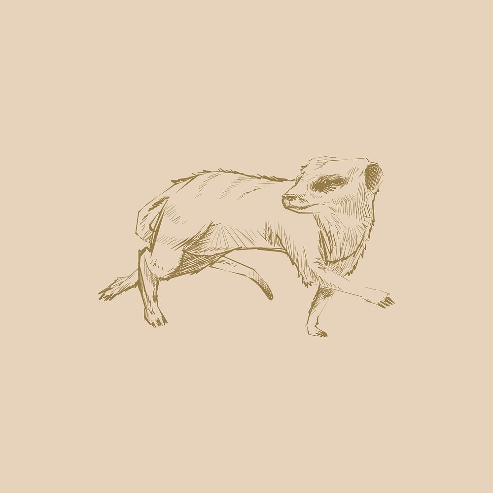 Illustration drawing style of meerkat