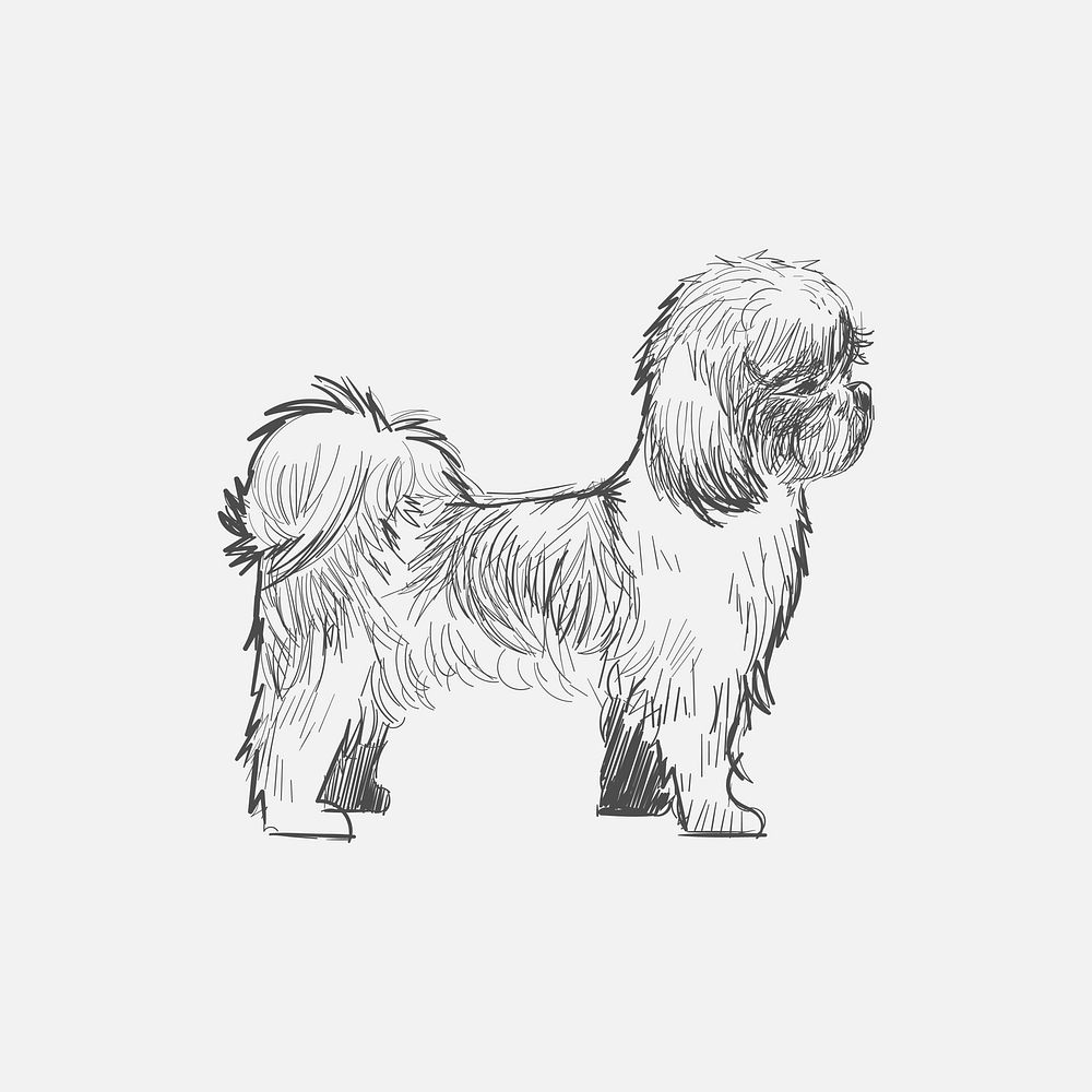 Illustration drawing style of dog