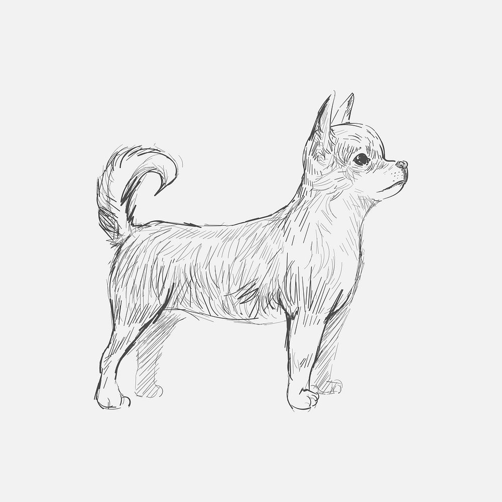 Illustration drawing style of dog