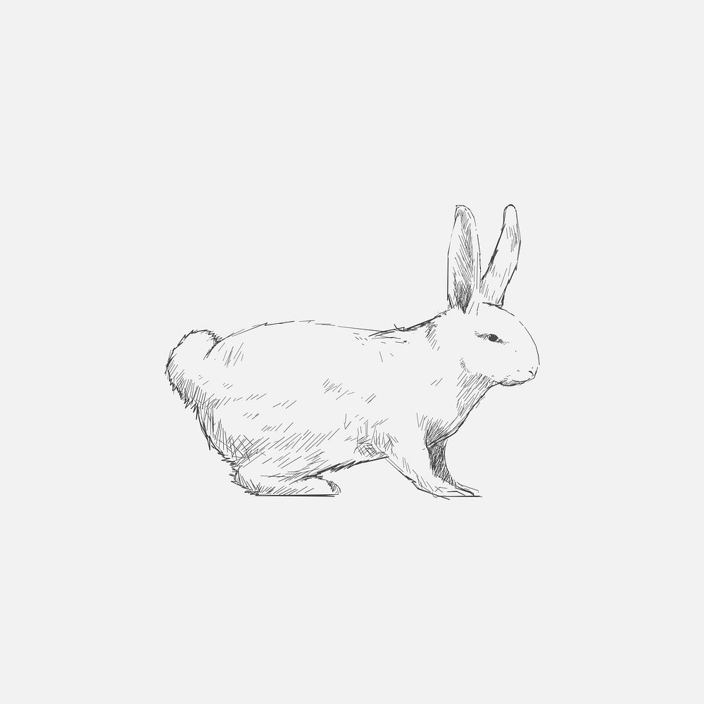 Illustration drawing style of rabbit