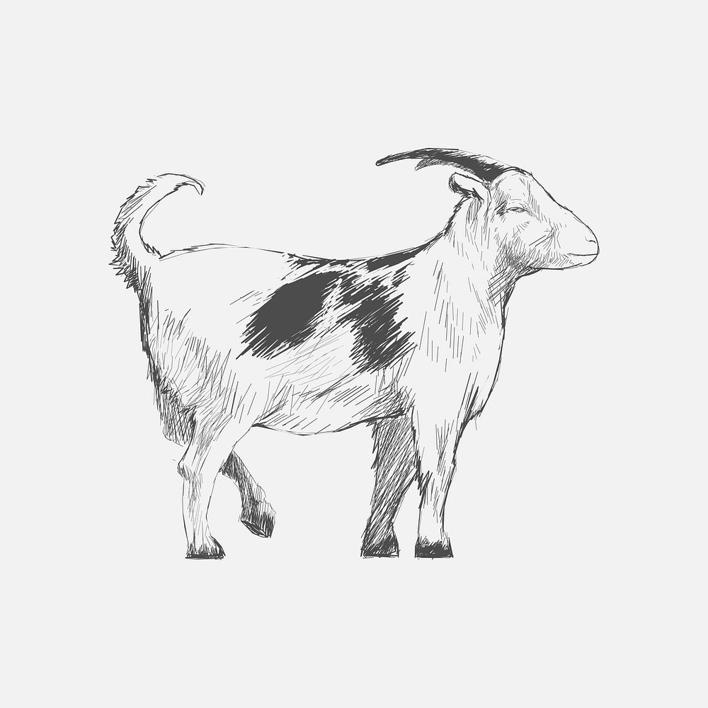 Illustration drawing style of goat