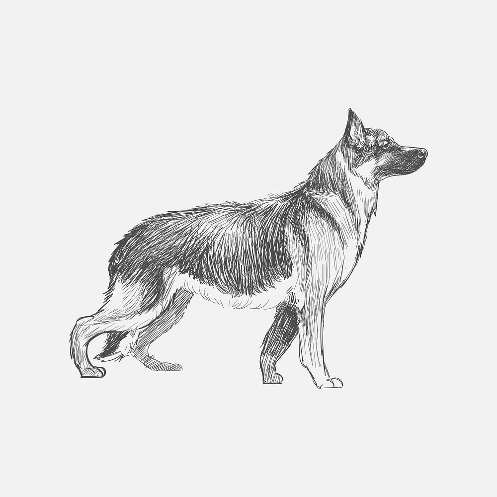 Illustration drawing style of dog | Premium Vector Illustration - rawpixel