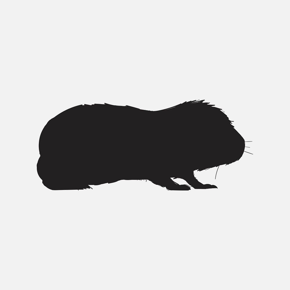 Illustration drawing style of rat