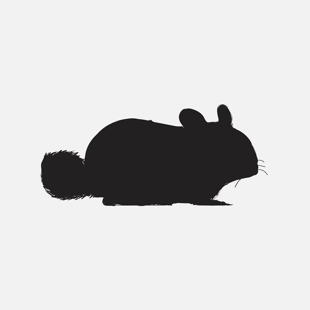 Chinchilla Images Free Photos Png Stickers Wallpapers Backgrounds Rawpixel