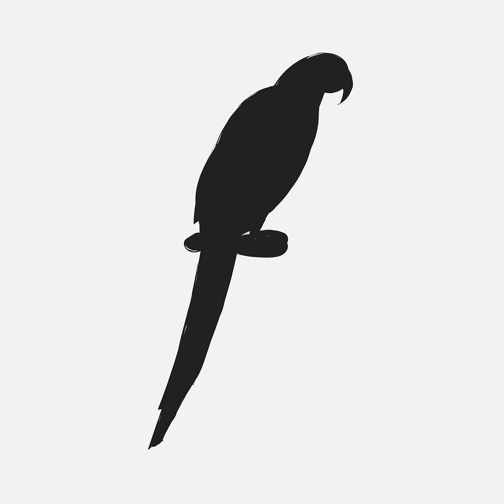 Illustration drawing style of parrot